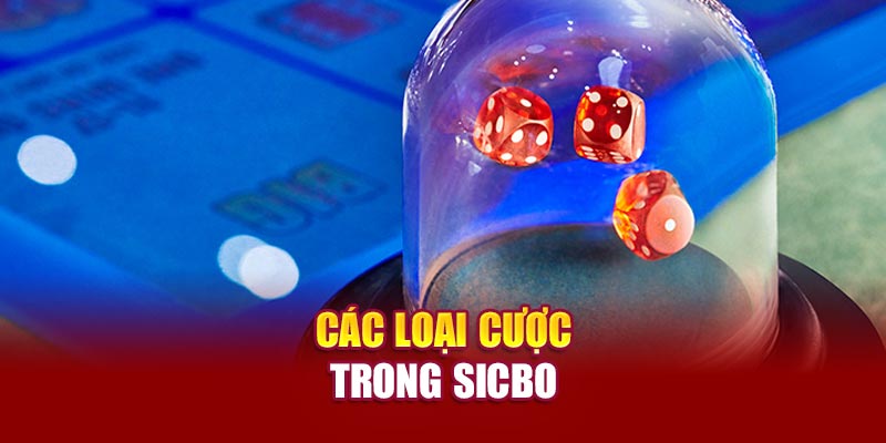 Các loại cược trong Sicbo
