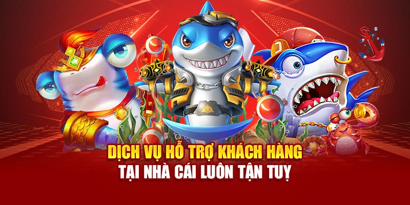 Dịch vụ hỗ trợ khách hàng tại nhà cái luôn tận tuỵ