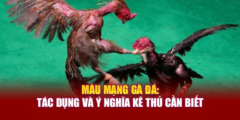 mau-mang-ga-da-tac-dung-va-y-nghia-ke-thu-can-biet