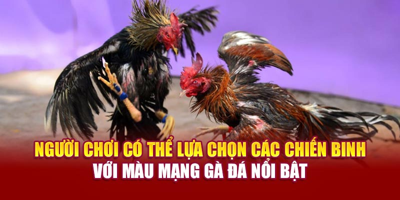Người chơi có thể lựa chọn các chiến binh với màu mạng gà đá nổi bật