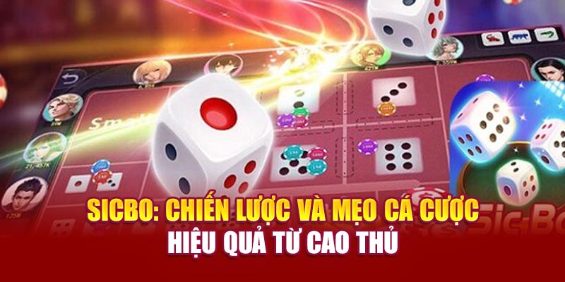 sicbo-chien-luoc-va-meo-ca-cuoc-hieu-qua-tu-cao-thu