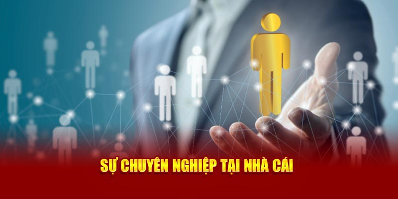 Sự chuyên nghiệp tại nhà cái