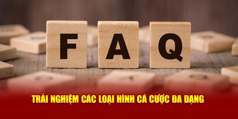 Trải nghiệm cá cược đa dạng