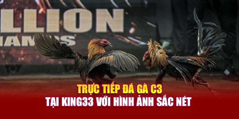 Trực tiếp đá gà C3 tại 89bet với hình ảnh sắc nét