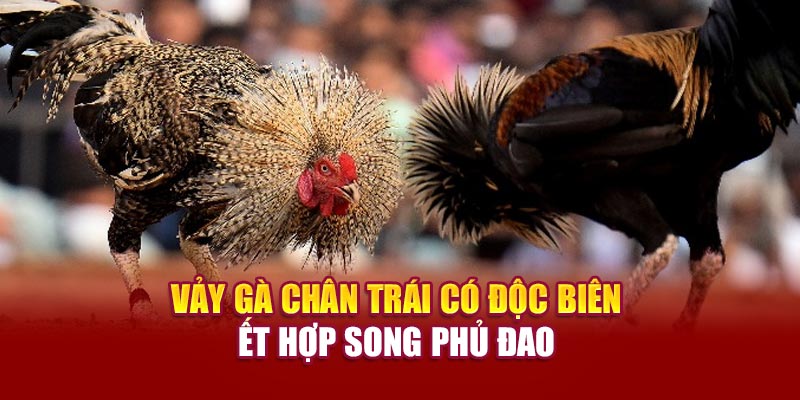 Vảy gà chân trái có độc biên kết hợp song phủ đao