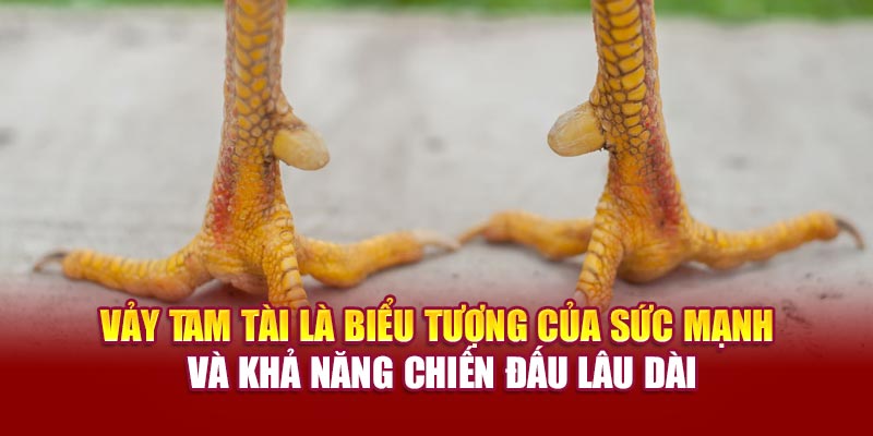 Vảy tam tài là biểu tượng của sức mạnh và khả năng chiến đấu lâu dài
